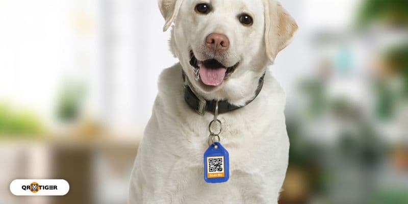 Kode QR kanggo Tag Asu: Jaga lan Lacak Pet Panjenengan