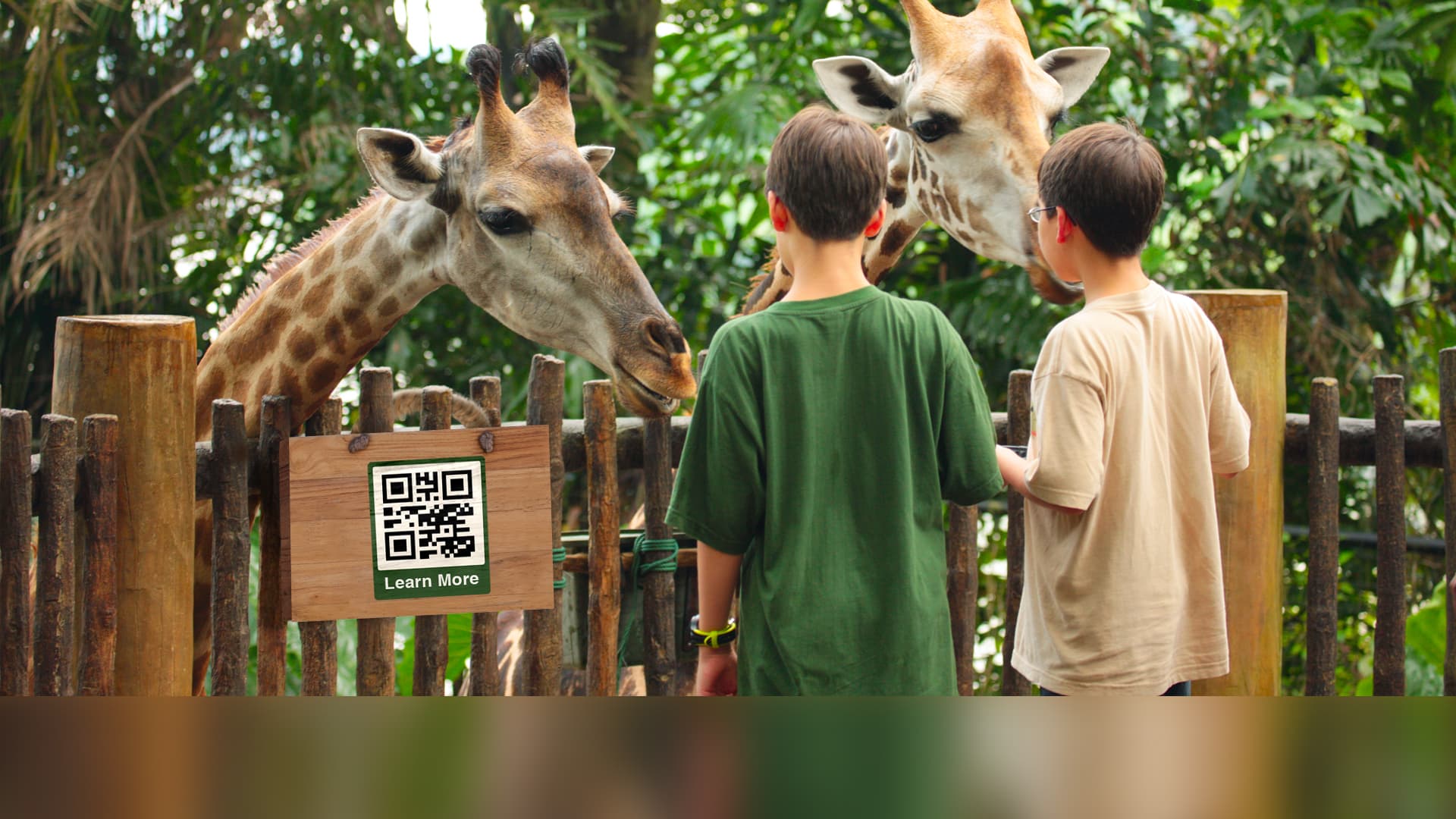 QR Codes in Parks: How to Use QR Codes in Amusement Parks and Zoos