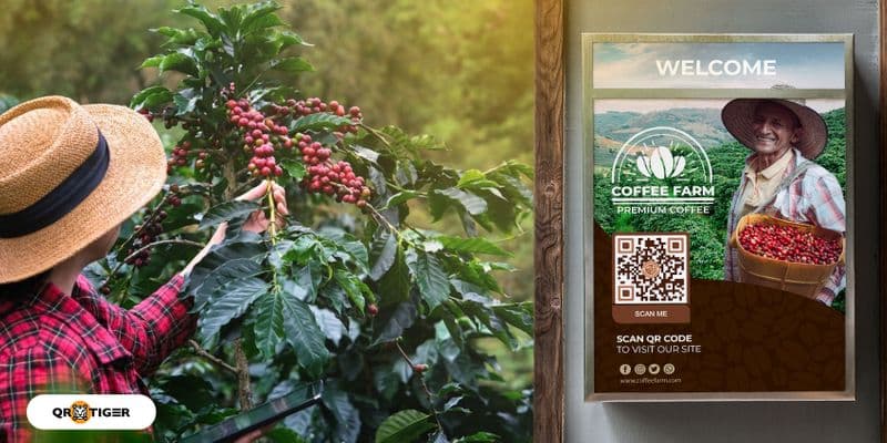 QR Codes for Coffee Farms: How to Use Them & Why You Should