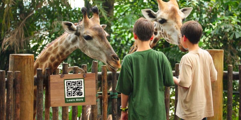 Cara Nggunakake Kode QR ing Taman Hiburan lan Kebun Binatang
